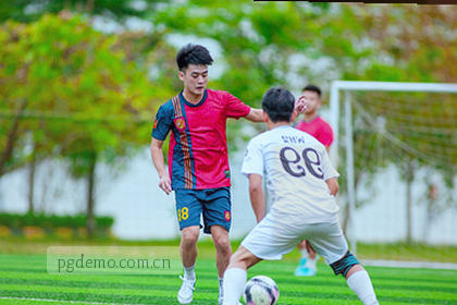赛事数据实时动态触手可及